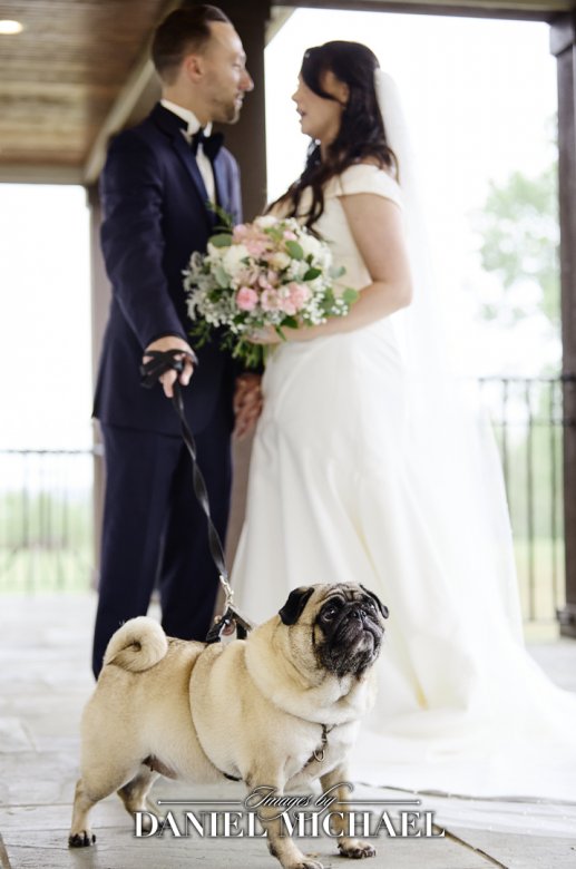 Fur Baby Ring Bearer for Wedding